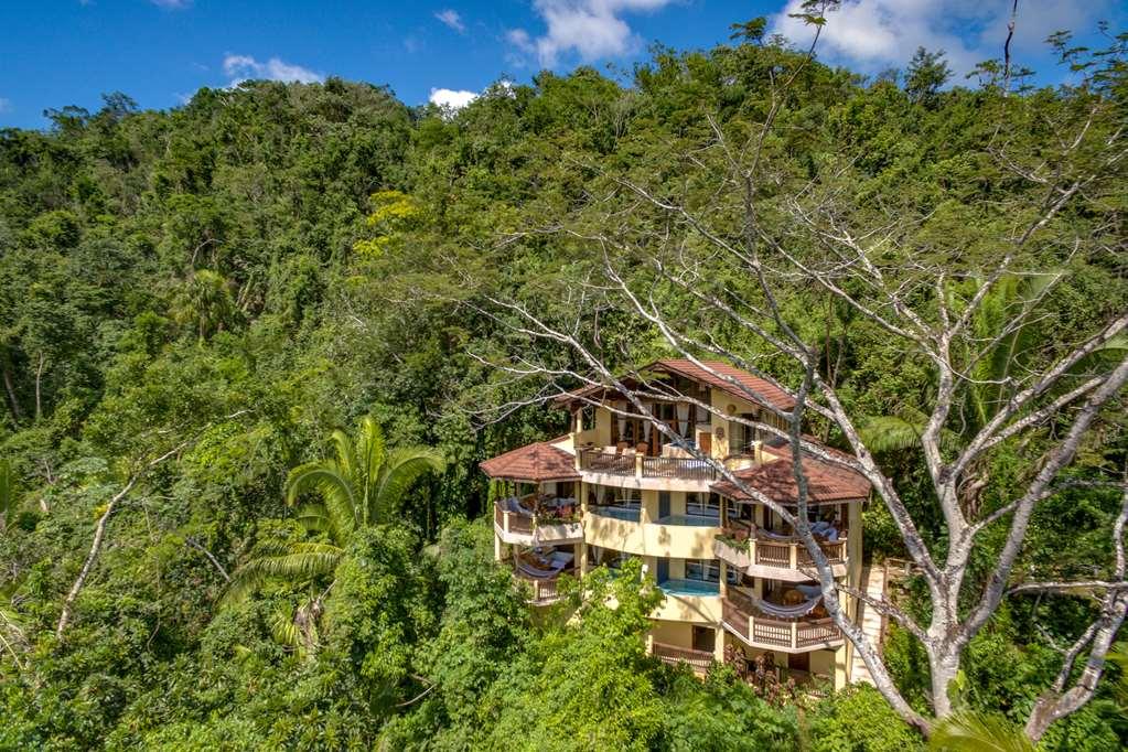 Sleeping Giant Rainforest Lodge Belmopan Zewnętrze zdjęcie